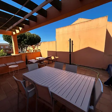 Relax Rooftop In The Palm Trees